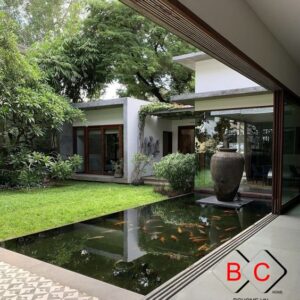 Thiết kế mẫu sân vườn M6