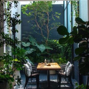Thiết kế mẫu  sân vườn M3