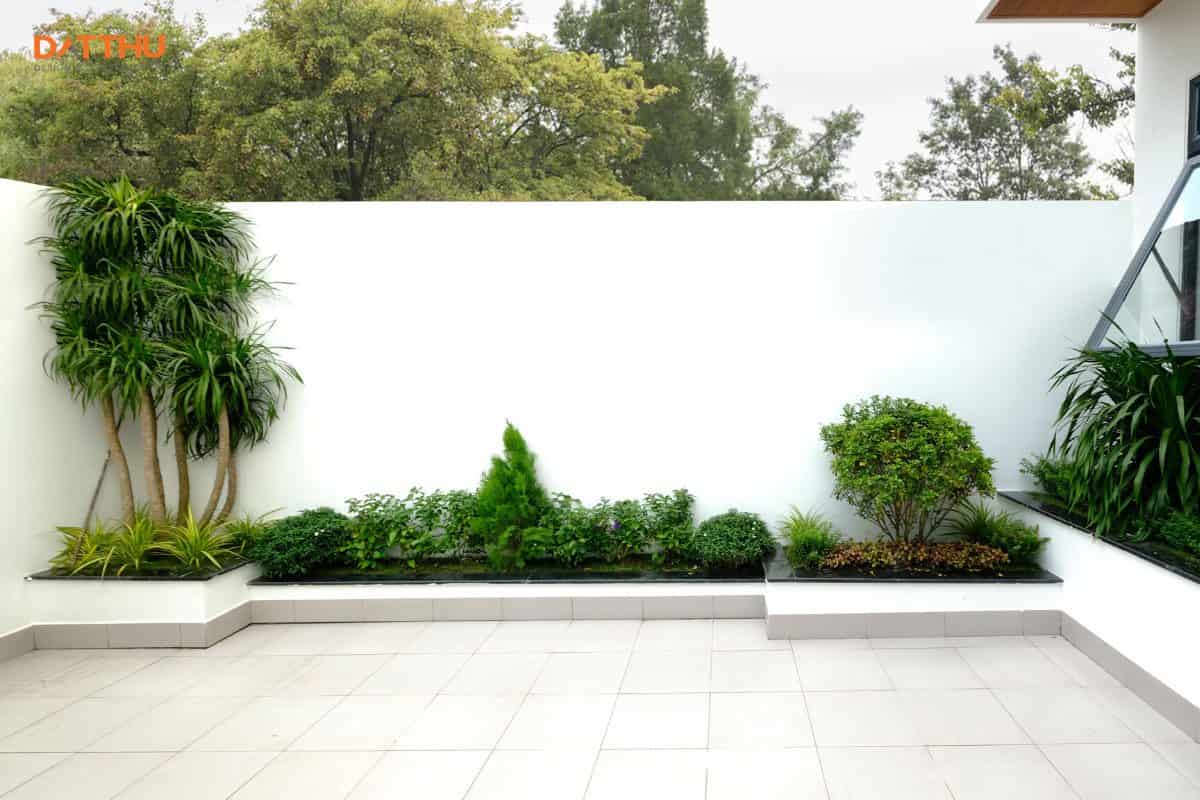 Sân vườn thiết kế nhà phong phong cách tối giản